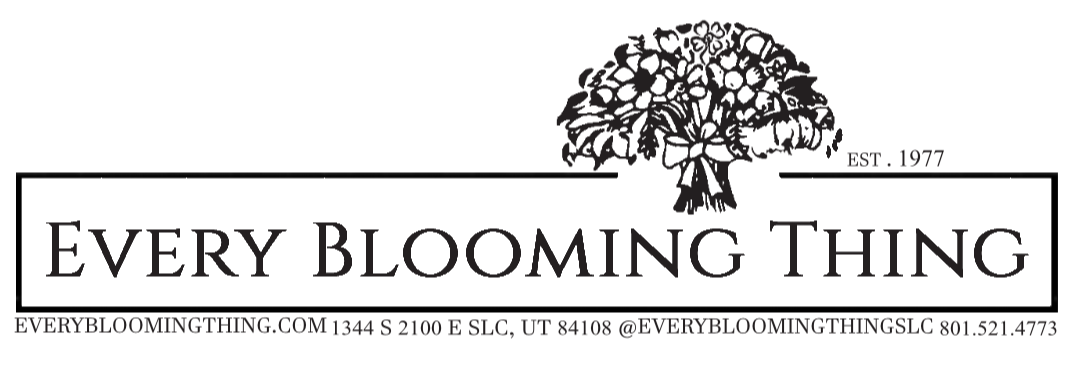 logo main