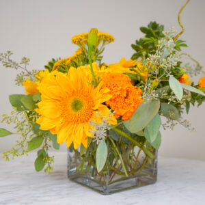 Harvest Sunshine