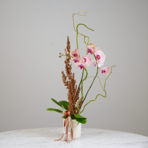 Autumnal Orchid