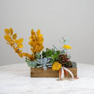 Rustic Succulent Garden Large