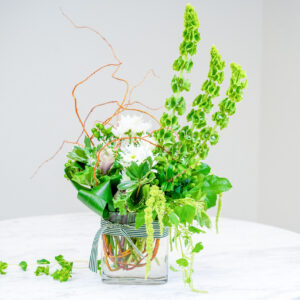 Emerald Isle Cascade