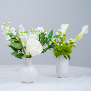 Wee Pop of Green | White Bud Vase | Set of 2